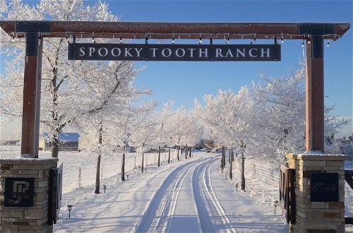 Photo 3 - Llama-stay at Spooky Tooth Ranch – Mtn Views