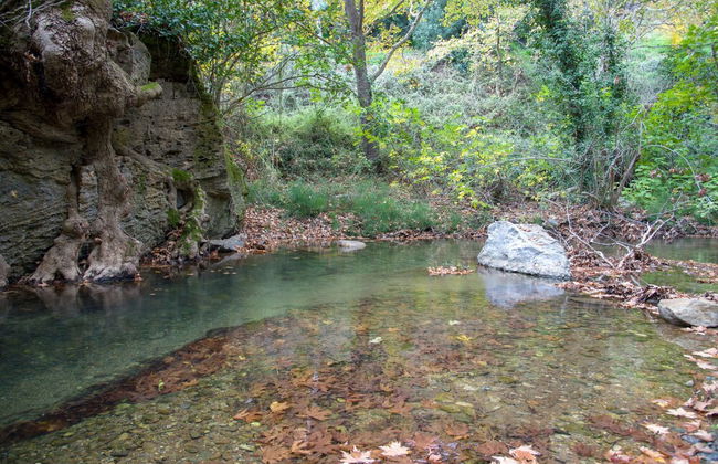 Serenity River Villa - Photo 43
