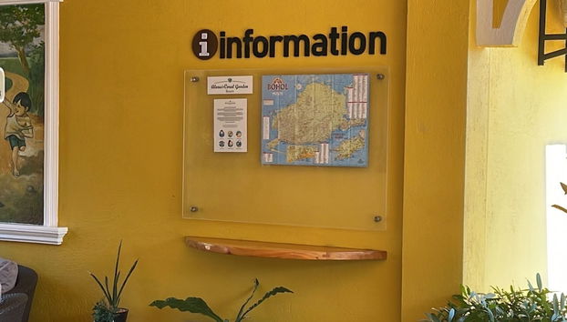 Receção