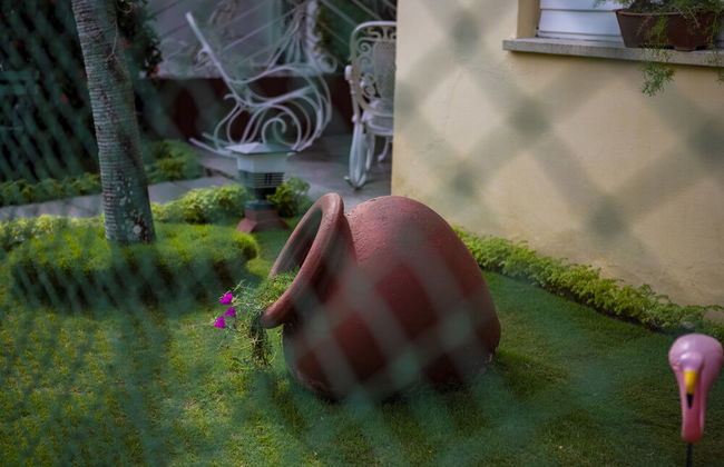 B&B Baby y Jose - Foto 59