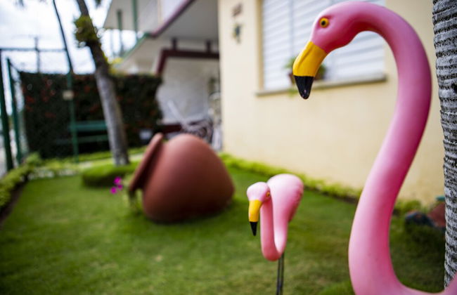 B&B Baby y Jose - Foto 61