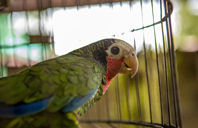 B&B Baby y Jose - Foto 51