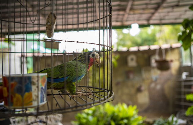 B&B Baby y Jose - Foto 48