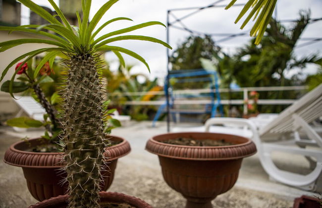 B&B Baby y Jose - Foto 65