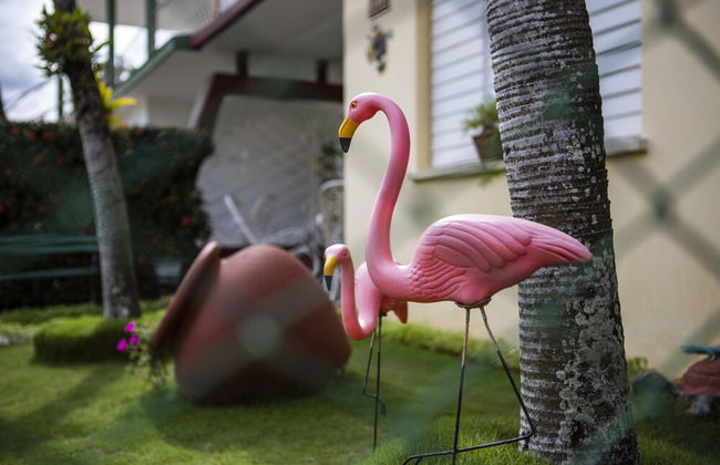 B&B Baby y Jose - Foto 60