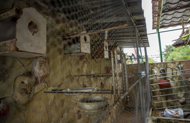 B&B Baby y Jose - Foto 49