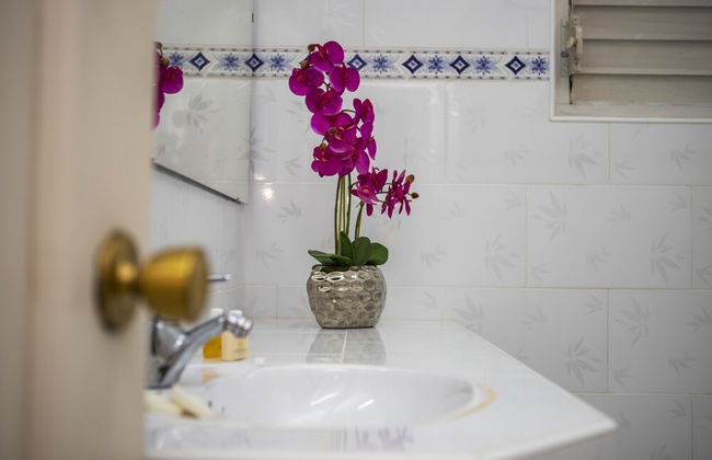 B&B Baby y Jose - Foto 46