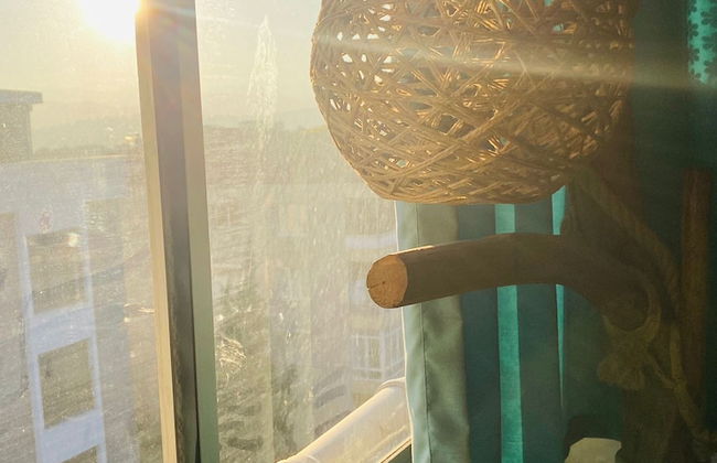 ŞİRİNYER ELİT RESİDANCE APART HOTEL - Foto 53