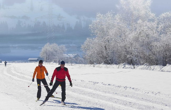 Holiday Home in ski Area in Mittersill - Foto 39