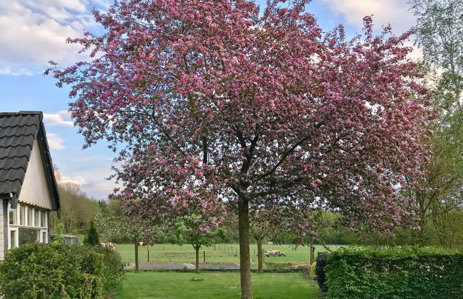Holiday Home Noordwolde Countryside - Foto 5