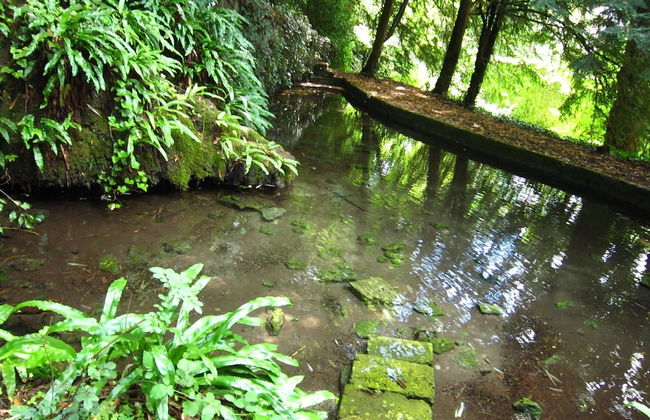 Renovated Castle Apartment With Swimming Pool - Foto 37