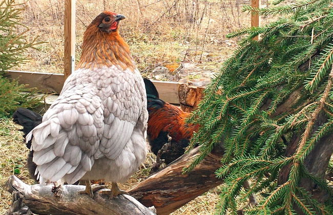 5 Person Holiday Home in Mellosa - Foto 37