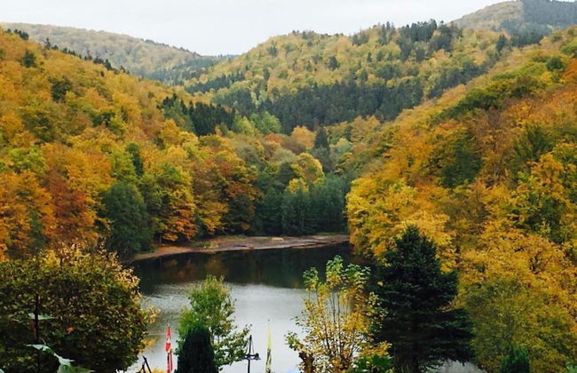 Cosy Holiday Home in the Harz Region - Foto 70