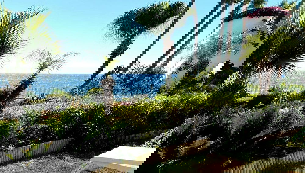 Immagine principale