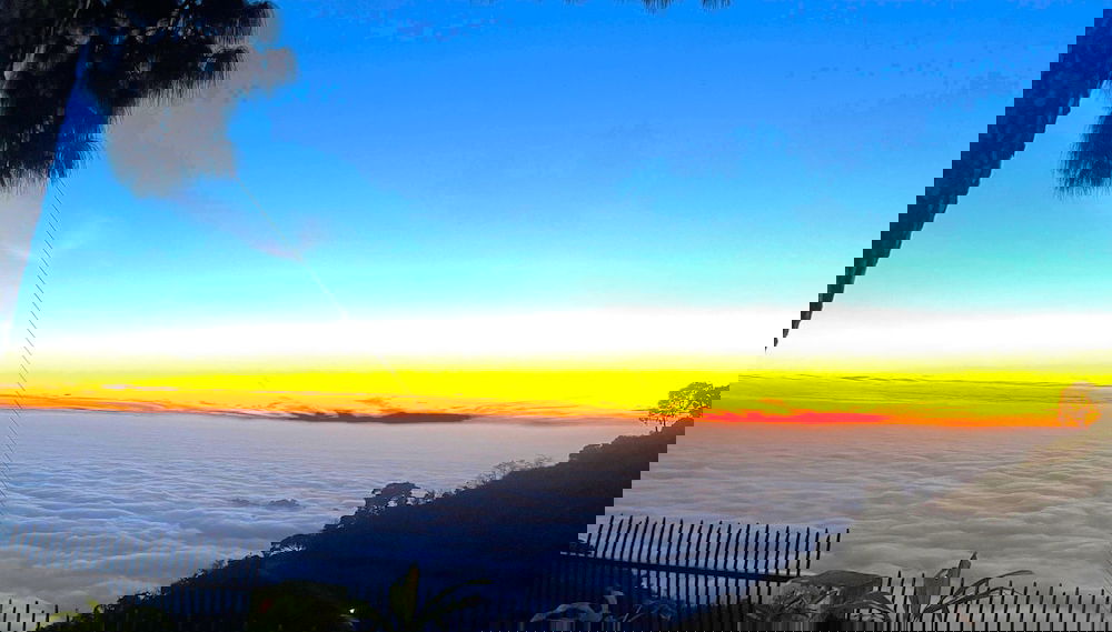Image principale
