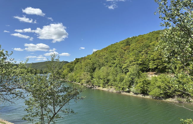 Chalets am Diemelsee in Heringhausen - Foto 37