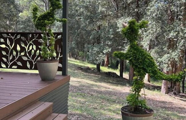 Wildside Sanctuary - Foto 21