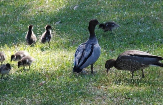 Wildside Sanctuary - Foto 42