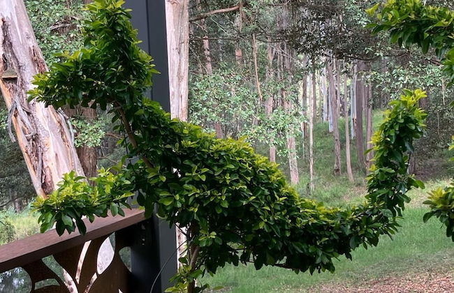 Wildside Sanctuary - Foto 48