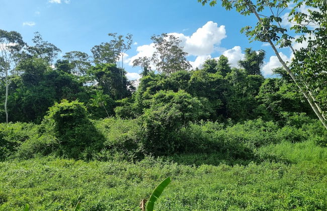 Parakreek Apartments - Foto 16