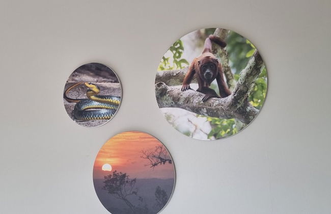 Parakreek Apartments - Foto 12