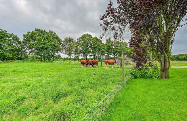 Cozy Countryside Getaway - Foto 33