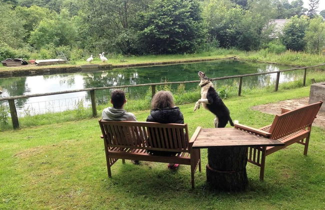 Relaxing Holidays in the Old Water Mill at Cwmiar - Foto 13