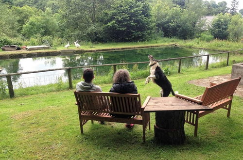 Photo 11 - Relaxing Holidays in the Old Water Mill at Cwmiar