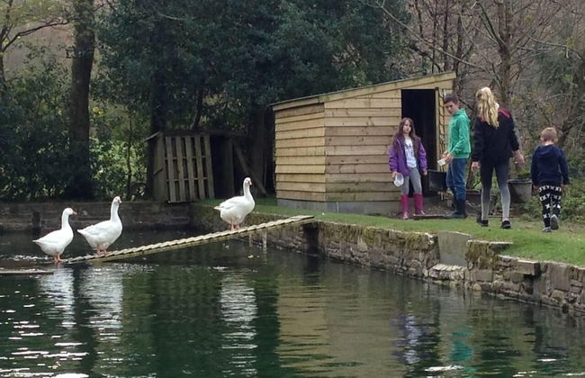 The Mill House at Cwmiar Farm - Relaxing Holidays - Foto 21