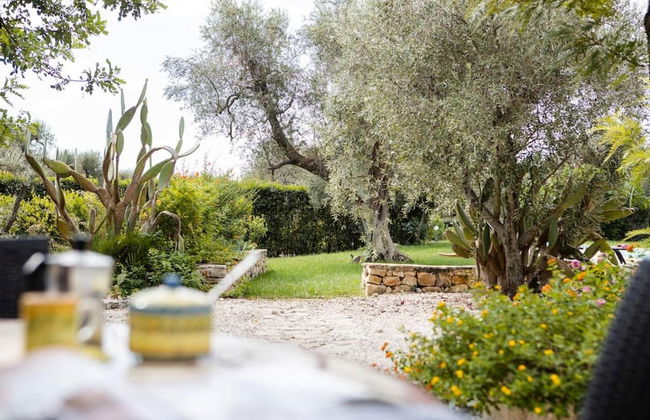 Esclusiva Tenuta Salentina - Foto 12