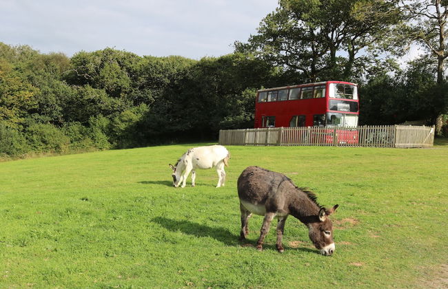 Fosfelle Glamping - Foto 5