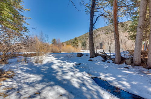 Photo 15 - Colorado Mountain Retreat on Cucharas River