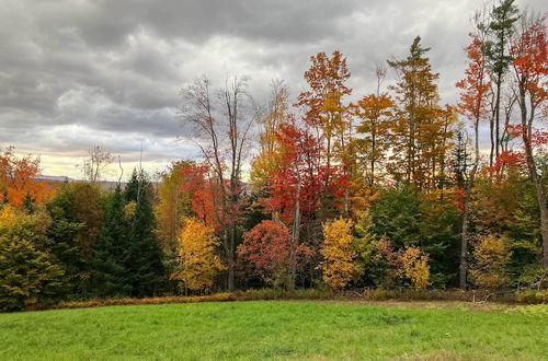 Photo 22 - Londonderry Retreat ~ 3 Mi to Lowell Lake