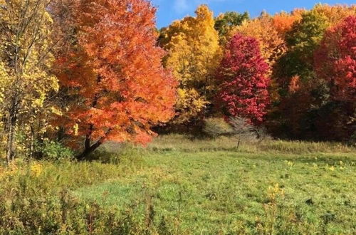 Photo 16 - Spacious Finger Lakes Vacation Rental on 6 Acres