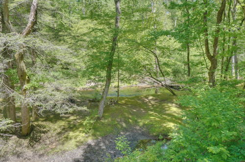 Photo 42 - Cozy Tellico Plains Cabin w/ Large Mountain Creek