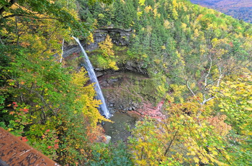 Photo 2 - Catskills Home Near Skiing - Best of Both Worlds