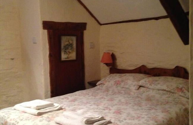 Relax in Mountain View Cottage at Cwmiar Farm - Foto 2