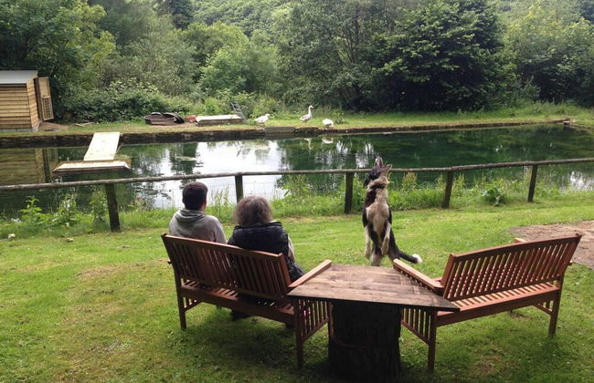 Relax in Mountain View Cottage at Cwmiar Farm - Foto 10