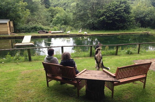 Photo 10 - Relax in Mountain View Cottage at Cwmiar Farm