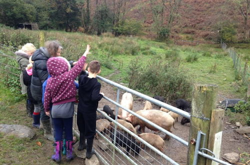 Foto 14 - Relax in Mountain View Cottage at Cwmiar Farm