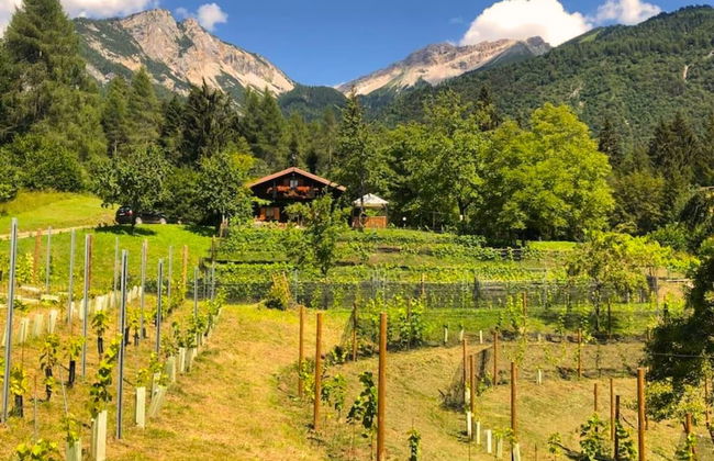 Chalet Relax Among The Vines - Foto 36