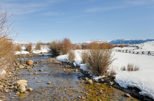 Photo 8 - Cora Home w/ Mountain Views - Fishing On-site