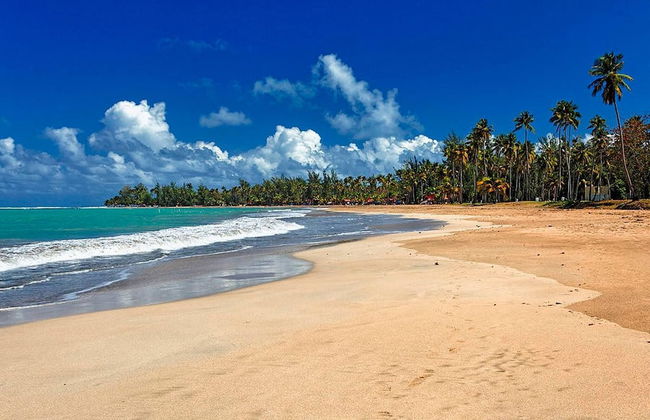 Luquillo Beach Retreat - 2 Private Units Side-by-side - Foto 74
