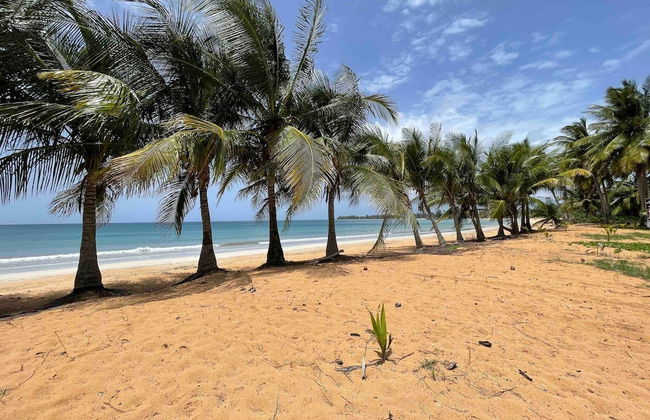 Luquillo Beach Retreat - 2 Private Units Side-by-side - Foto 72