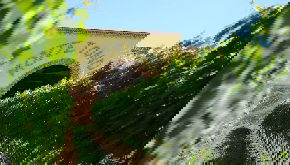 Imagem principal