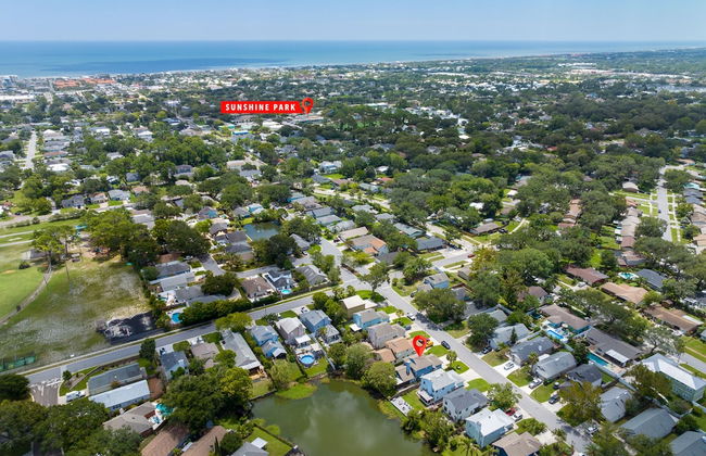 Paradise Palm - Foto 42