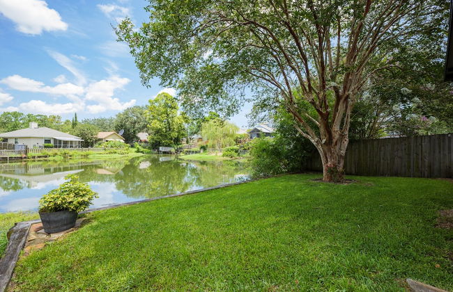 Paradise Palm - Foto 27