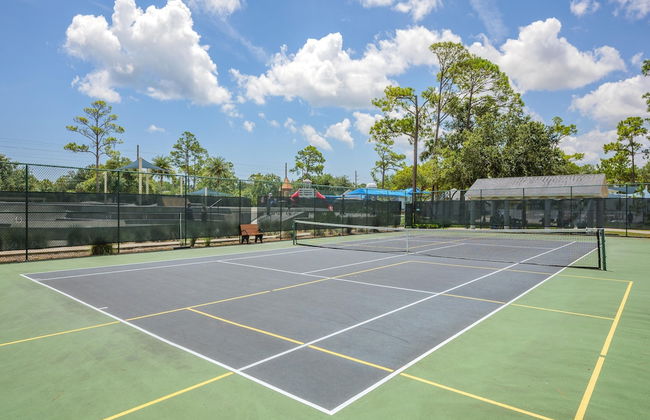 Paradise Palm - Foto 20