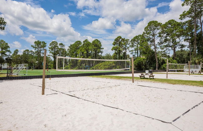 Paradise Palm - Foto 19