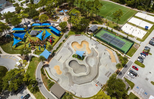 Paradise Palm - Foto 18